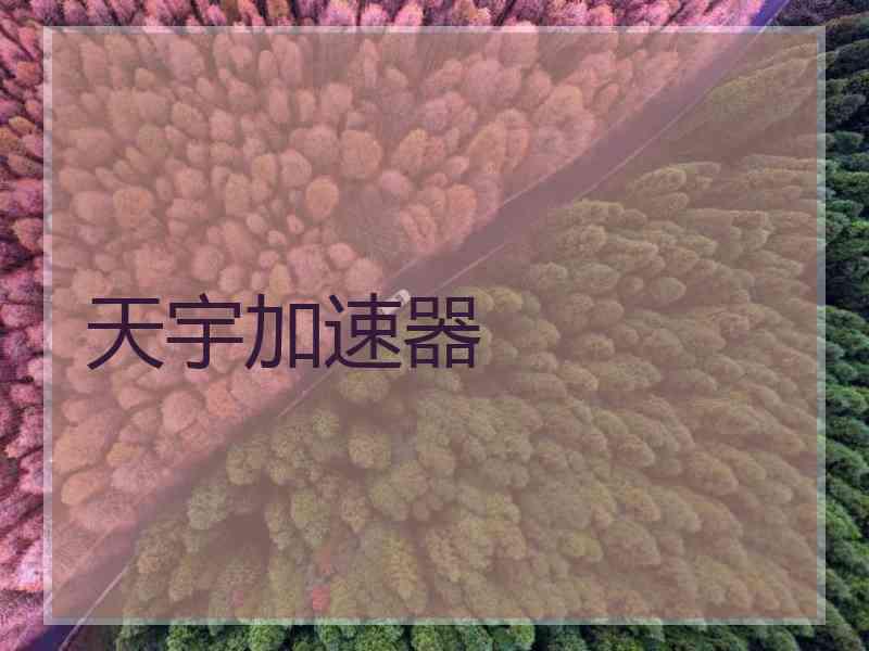 天宇加速器