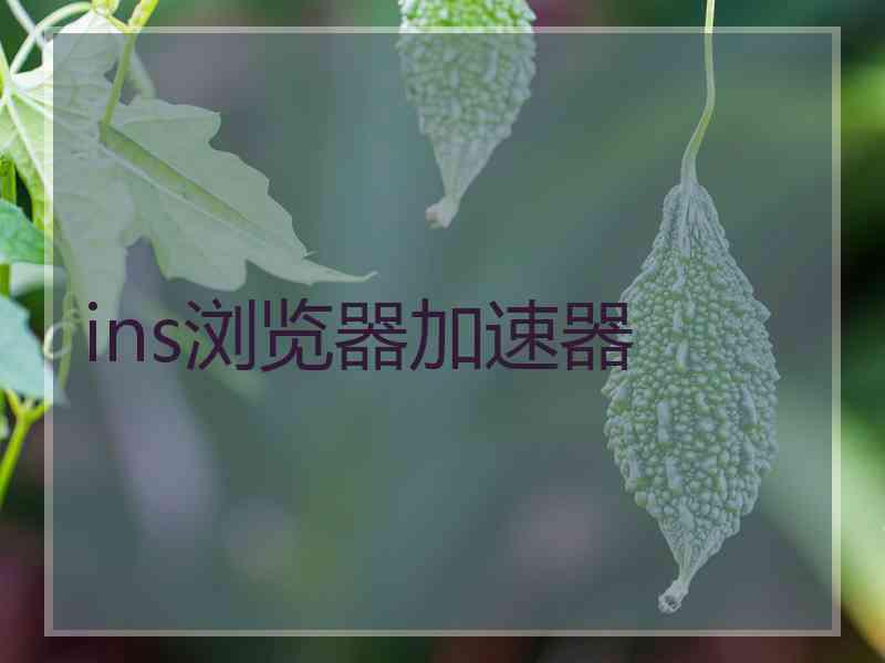 ins浏览器加速器