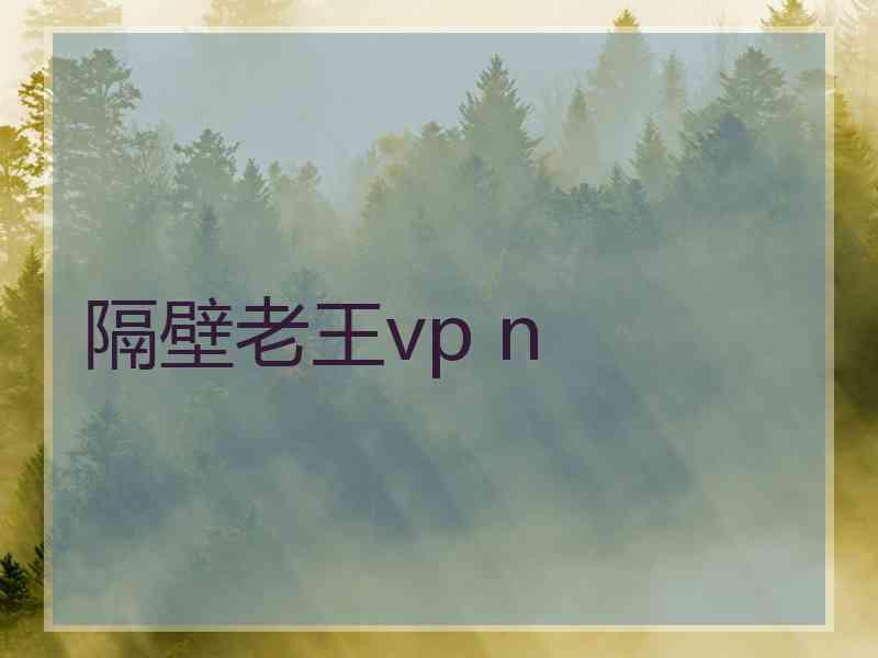 隔壁老王vp n