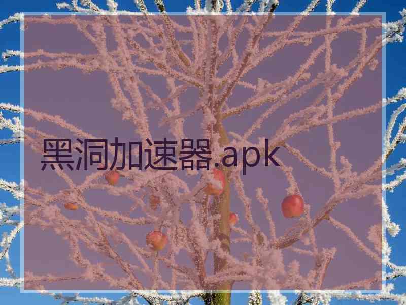 黑洞加速器.apk