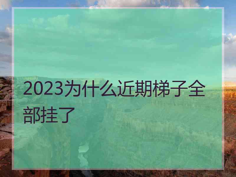 2023为什么近期梯子全部挂了