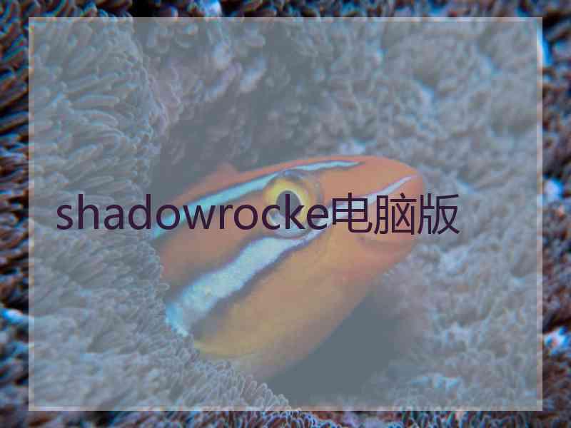 shadowrocke电脑版