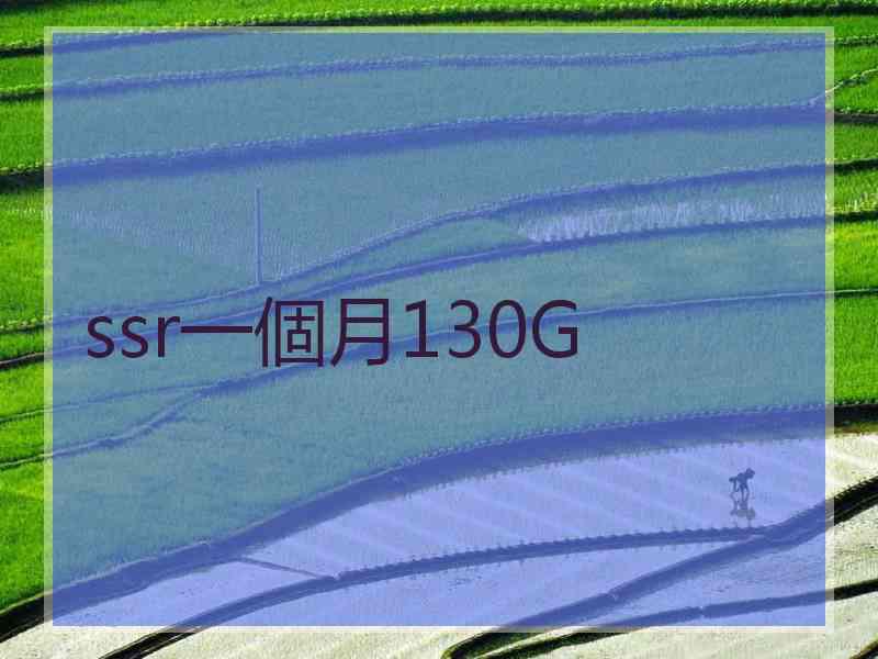 ssr一個月130G