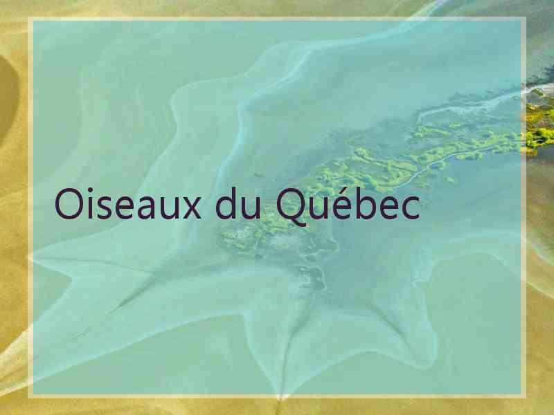 Oiseaux du Québec