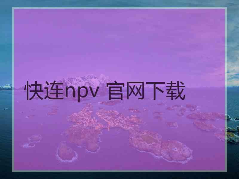 快连npv 官网下载