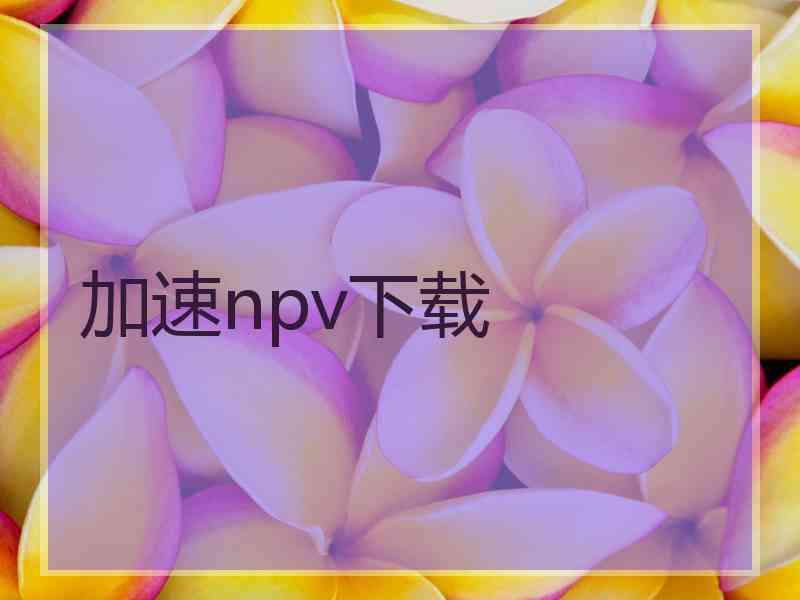 加速npv下载