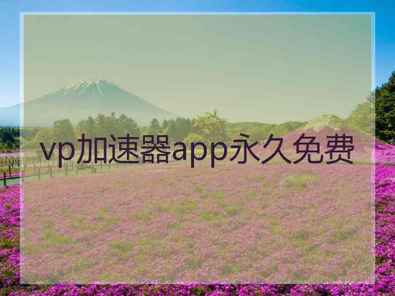 vp加速器app永久免费