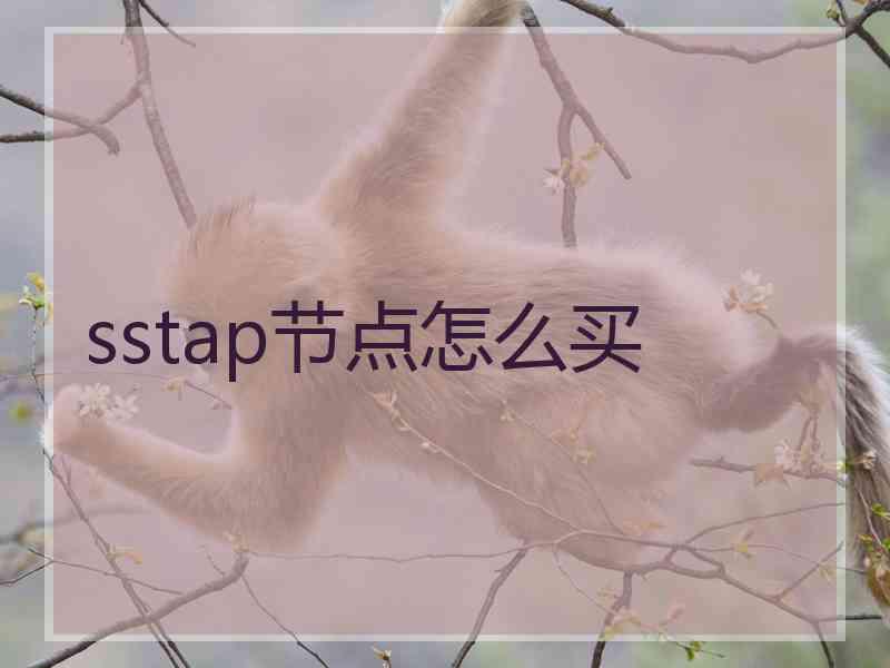 sstap节点怎么买