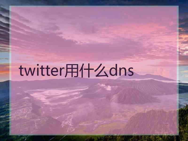 twitter用什么dns