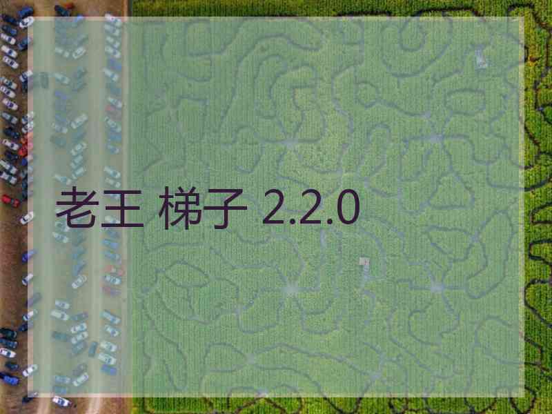 老王 梯子 2.2.0