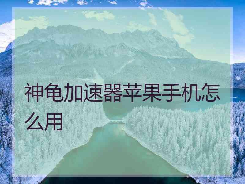 神龟加速器苹果手机怎么用