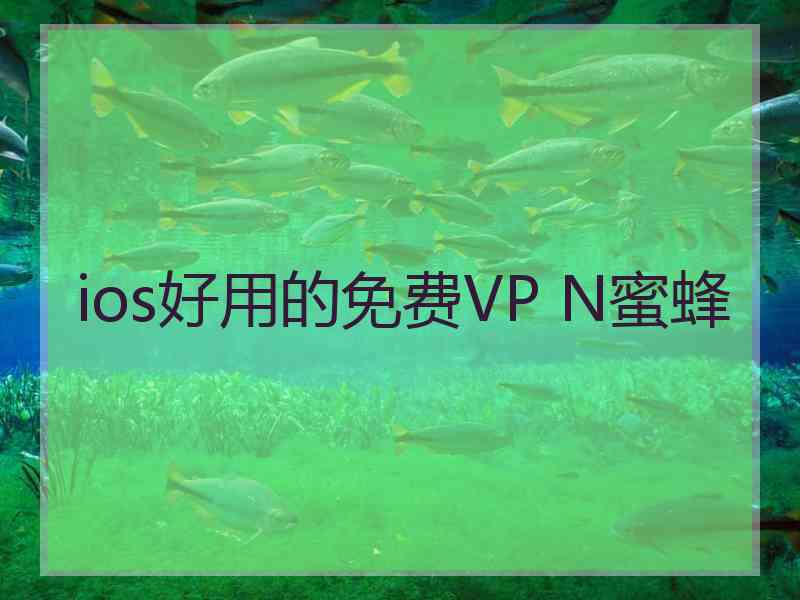 ios好用的免费VP N蜜蜂