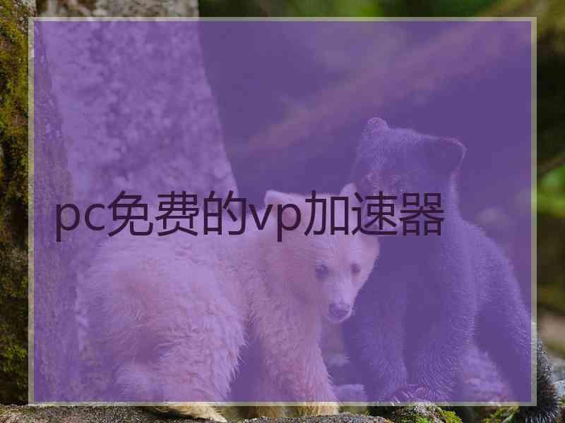 pc免费的vp加速器