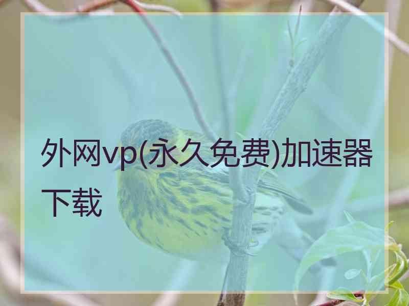 外网vp(永久免费)加速器下载