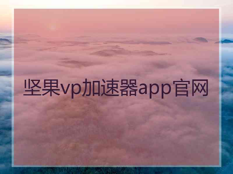 坚果vp加速器app官网