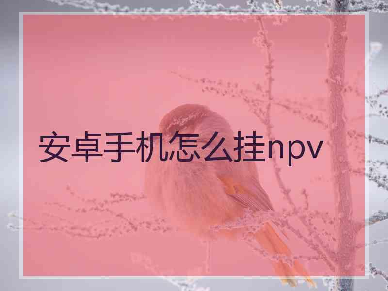 安卓手机怎么挂npv