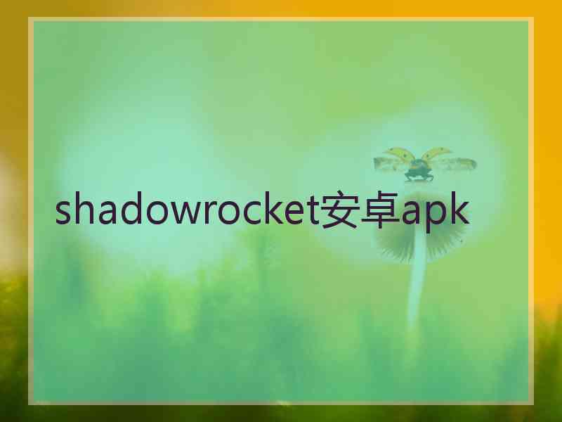 shadowrocket安卓apk