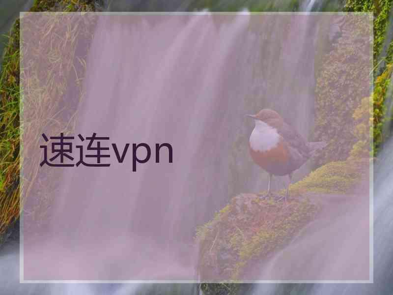 速连vpn