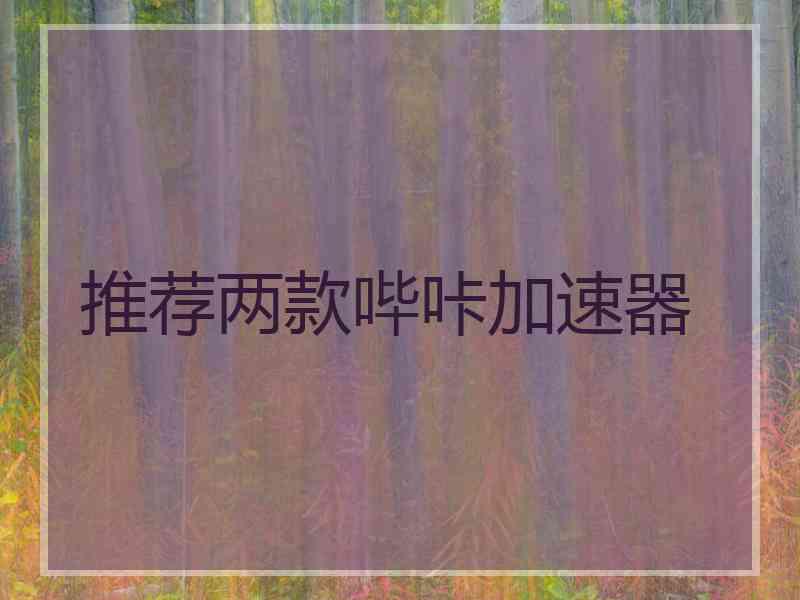 推荐两款哔咔加速器