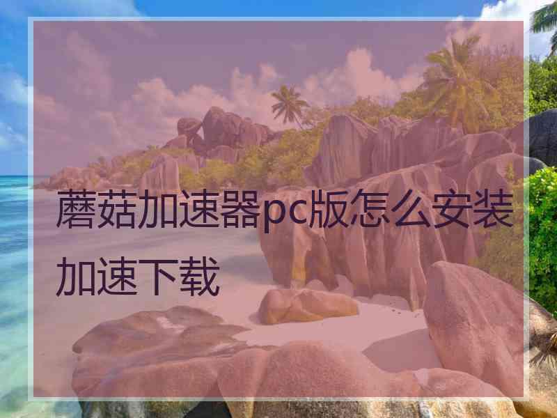 蘑菇加速器pc版怎么安装加速下载