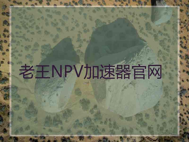 老王NPV加速器官网