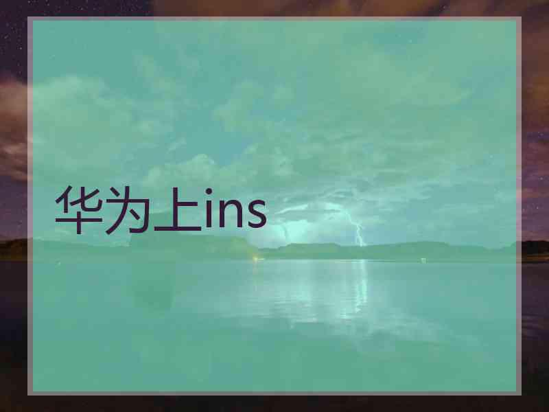 华为上ins