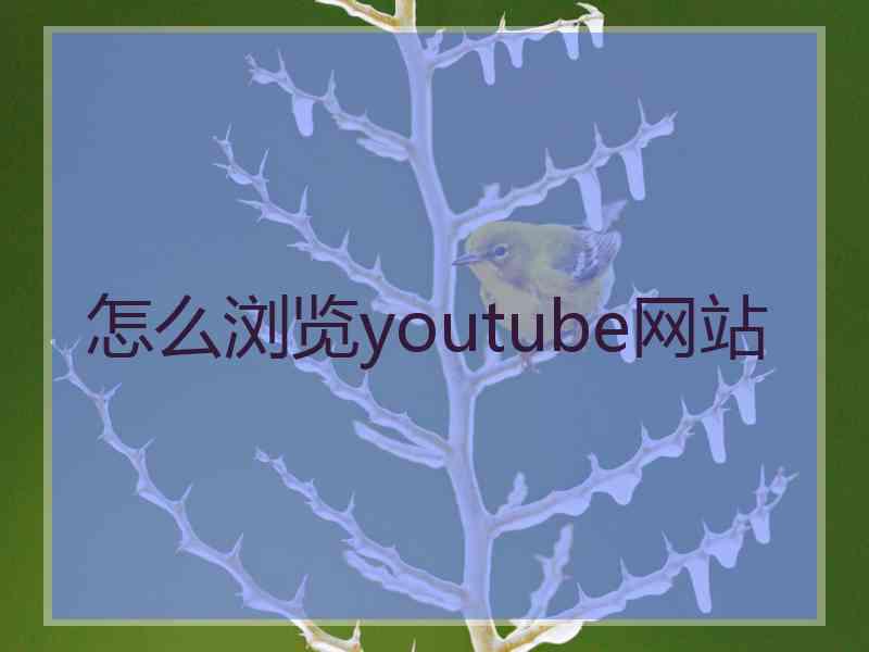 怎么浏览youtube网站