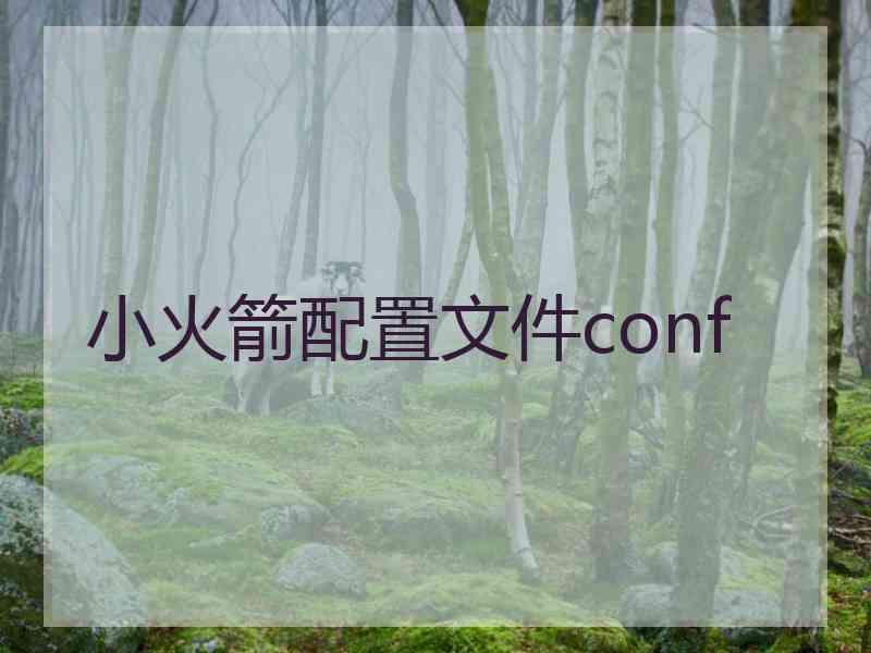 小火箭配置文件conf