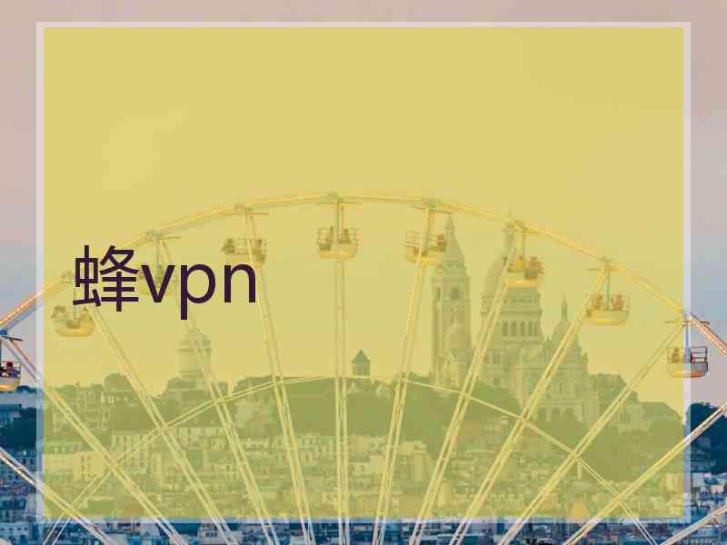 蜂vpn