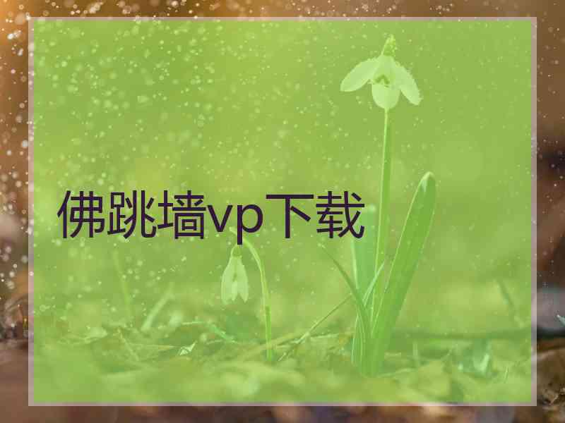 佛跳墙vp下载