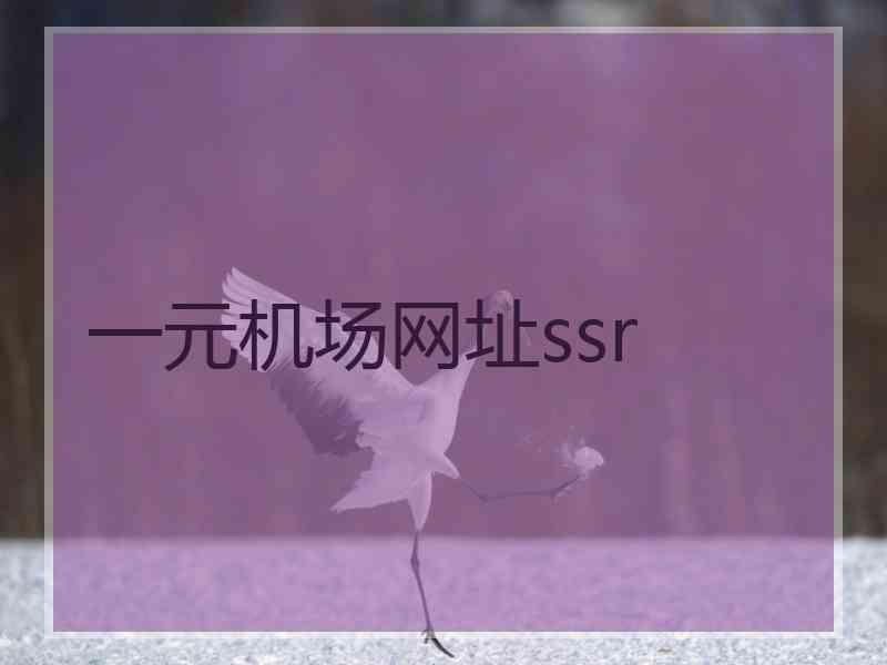 一元机场网址ssr