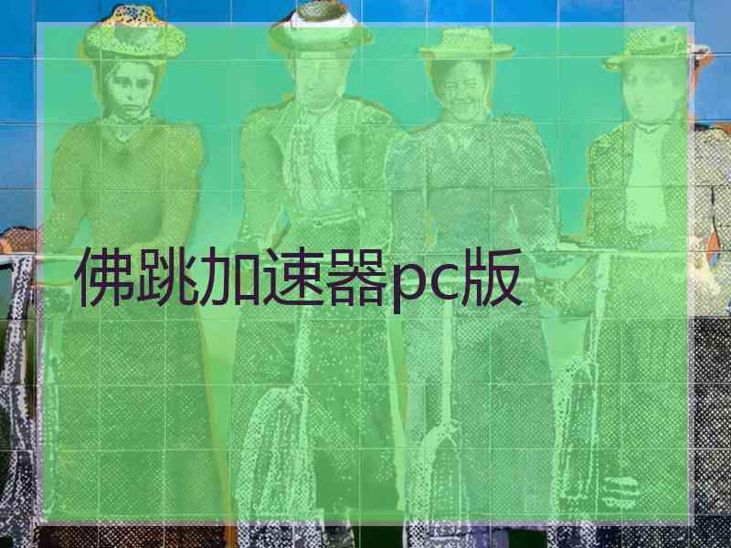 佛跳加速器pc版