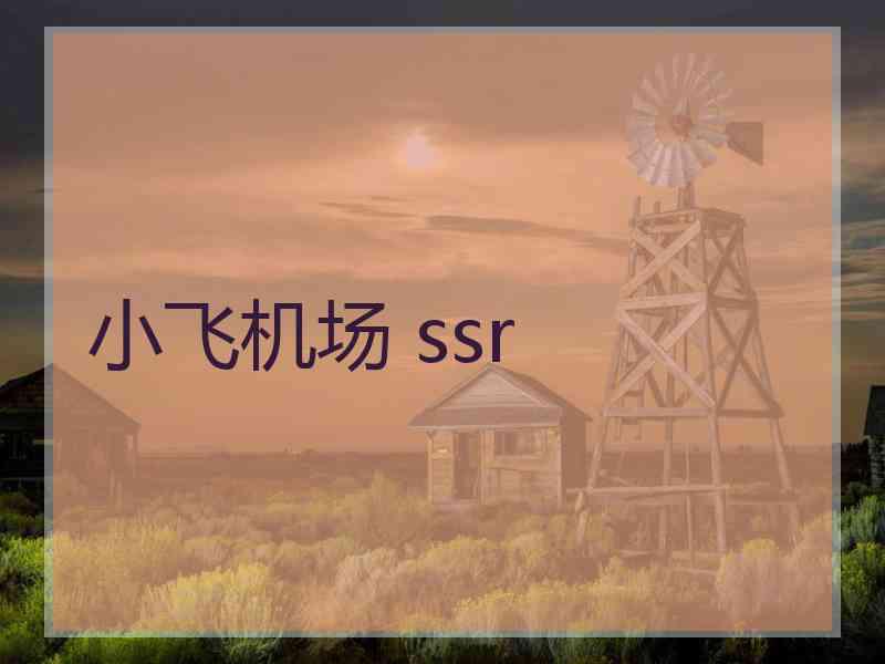 小飞机场 ssr