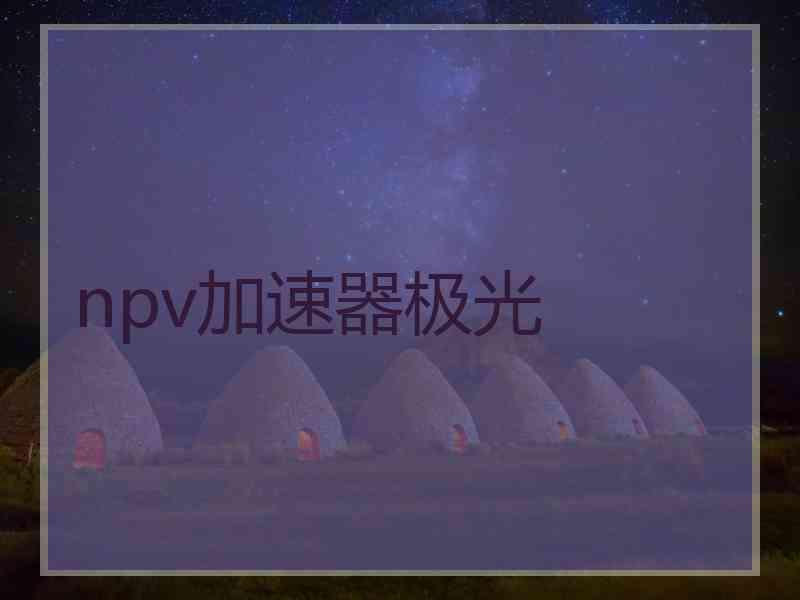 npv加速器极光