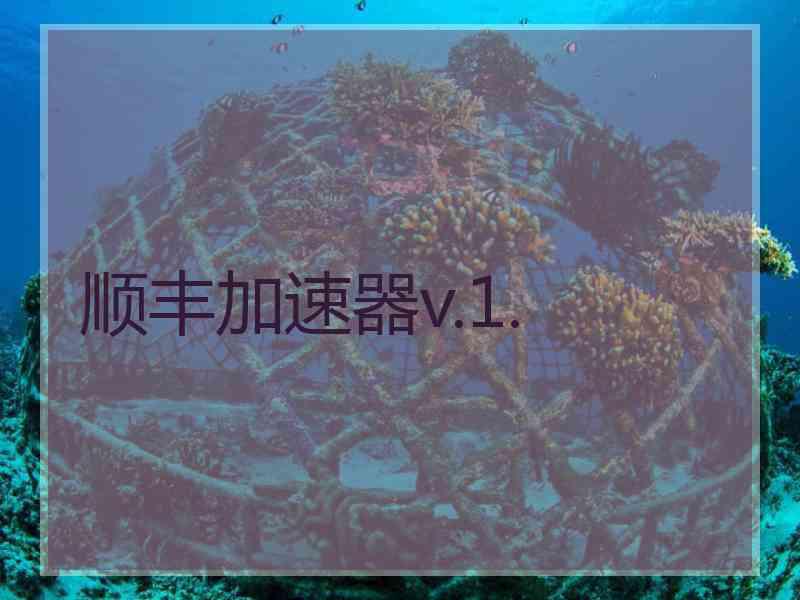 顺丰加速器v.1.