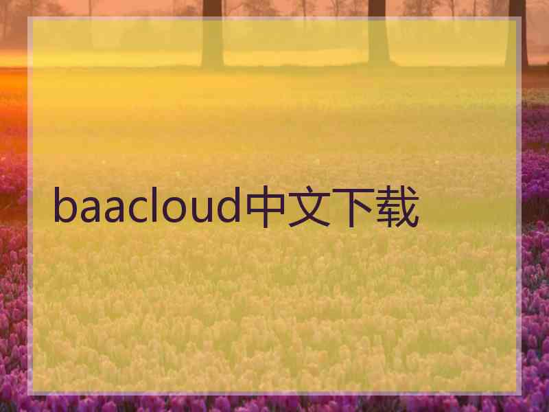 baacloud中文下载