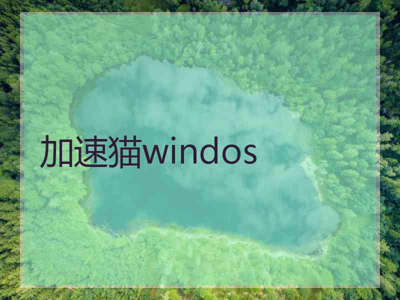 加速猫windos