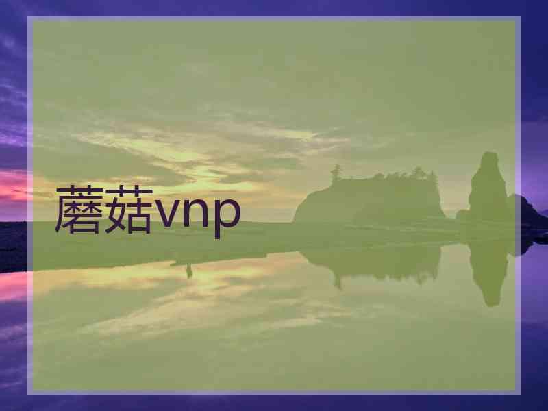 蘑菇vnp