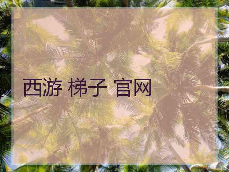 西游 梯子 官网