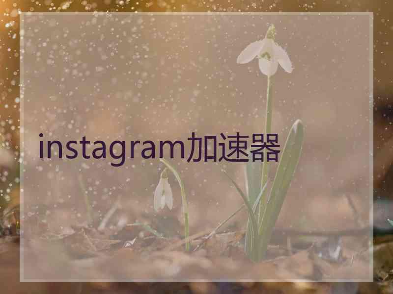 instagram加速器