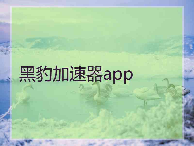 黑豹加速器app