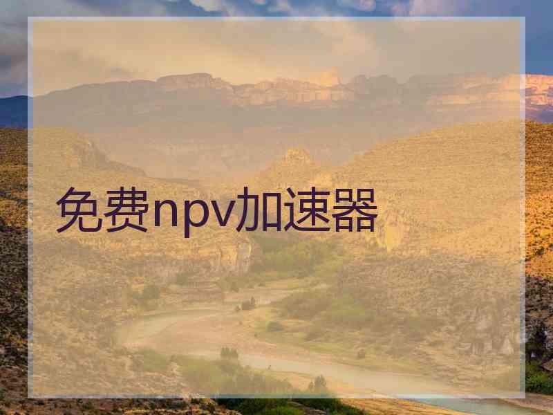 免费npv加速器