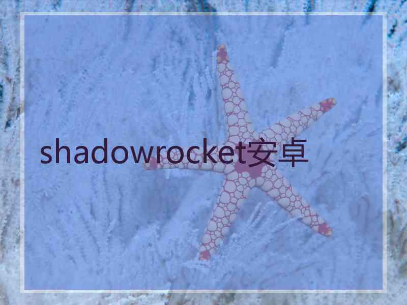 shadowrocket安卓