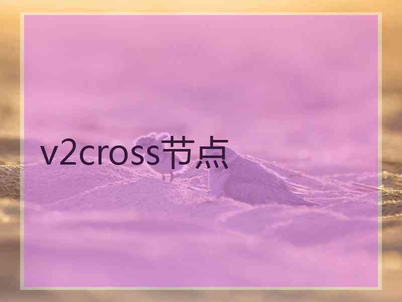 v2cross节点