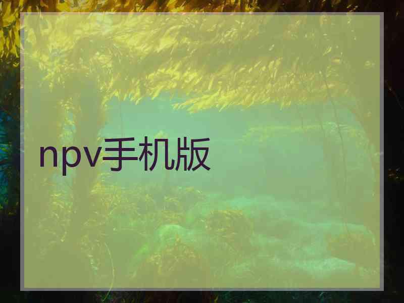 npv手机版