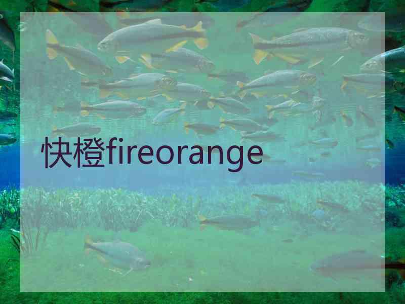 快橙fireorange