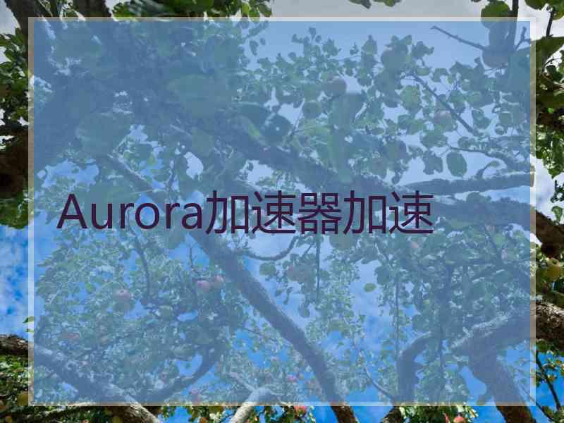 Aurora加速器加速