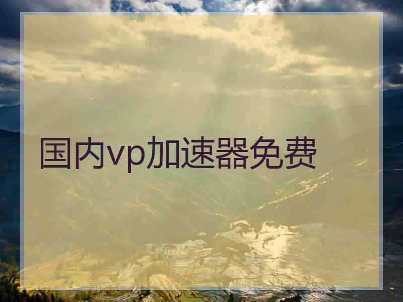 国内vp加速器免费