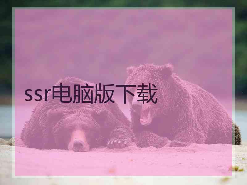 ssr电脑版下载