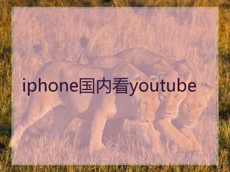 iphone国内看youtube